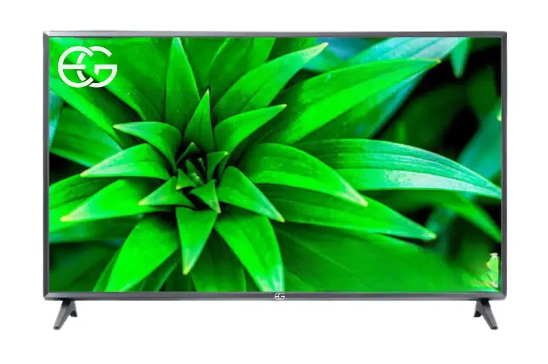 Frameless Normal TV 24 Inch